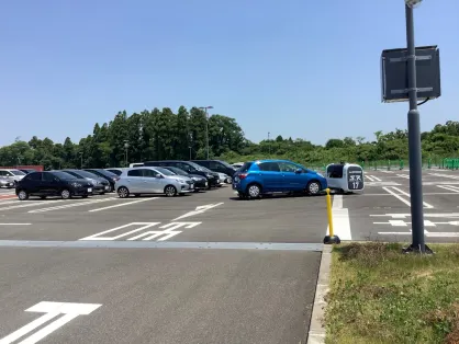 Casino Spice Bingo Farsímaforrit